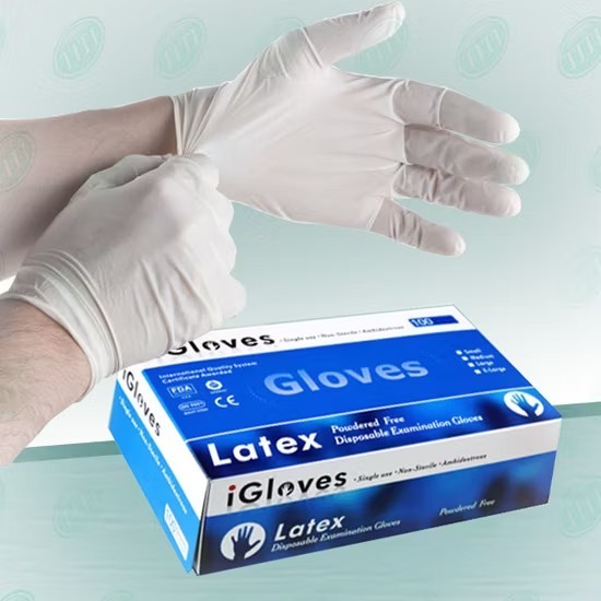Surgical Gloves